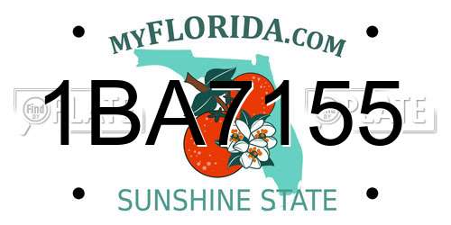 1BA7155 Florida License Plate