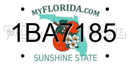 1BA7185 Florida License Plate