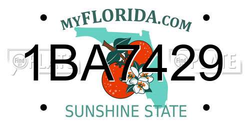 1BA7429 Florida License Plate