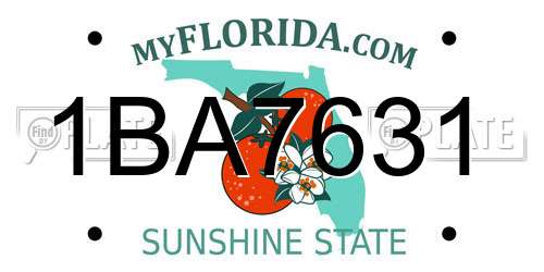 1BA7631 Florida License Plate