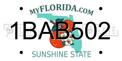 1BAB502 Florida License Plate