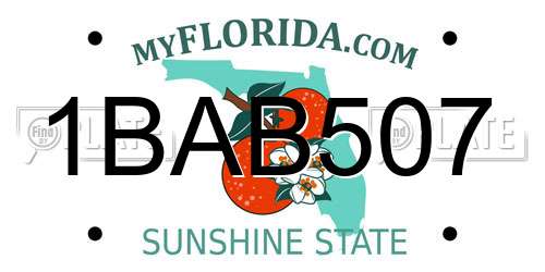 1BAB507 Florida License Plate