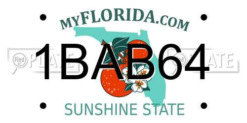 1BAB64 Florida License Plate