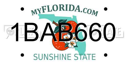 1BAB660 Florida License Plate