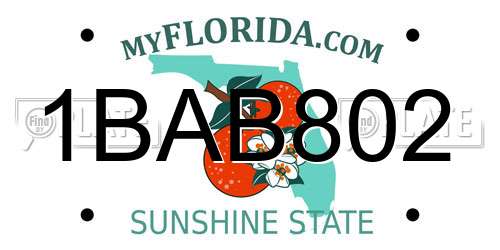 1BAB802 Florida License Plate