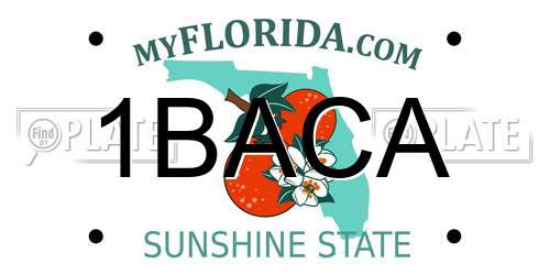 1BACA Florida License Plate