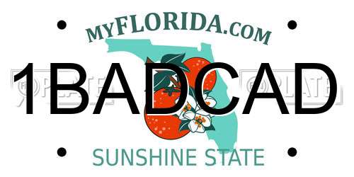 1BADCAD Florida License Plate