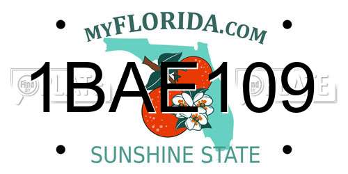 1BAE109 Florida License Plate