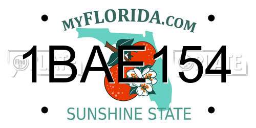 1BAE154 Florida License Plate