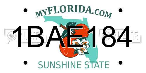 1BAE184 Florida License Plate
