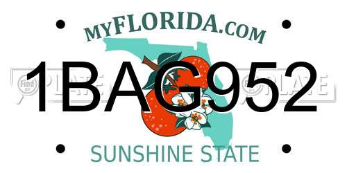 1BAG952 Florida License Plate