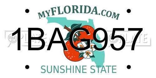 1BAG957 Florida License Plate