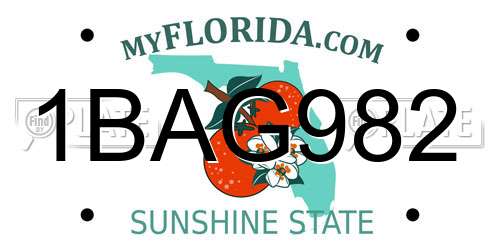 1BAG982 Florida License Plate