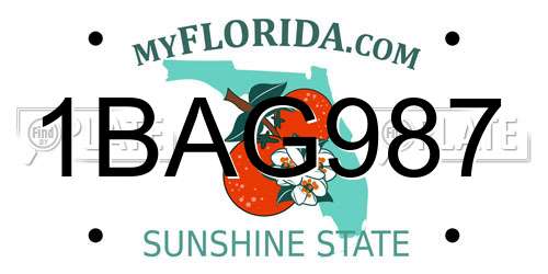 1BAG987 Florida License Plate