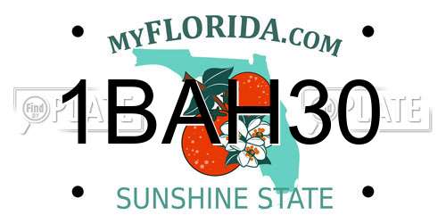 1BAH30 Florida License Plate