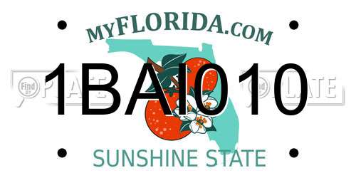 1BAI010 Florida License Plate
