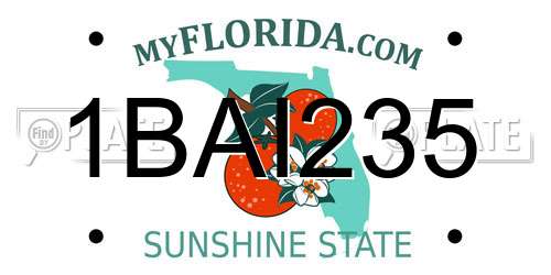 1BAI235 Florida License Plate