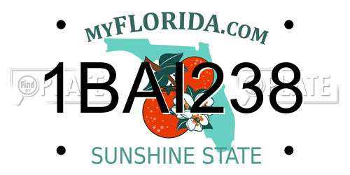 1BAI238 Florida License Plate