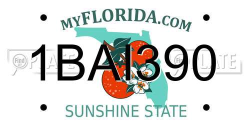 1BAI390 Florida License Plate
