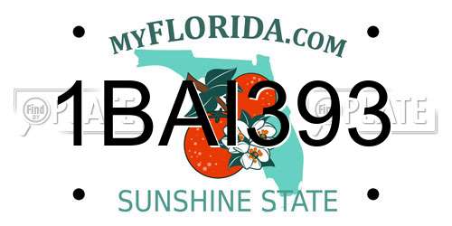 1BAI393 Florida License Plate
