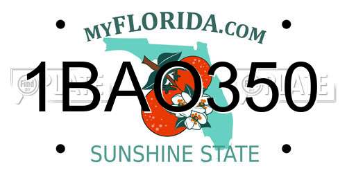 1BAO350 Florida License Plate