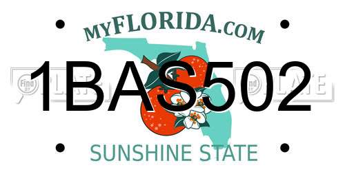 1BAS502 Florida License Plate