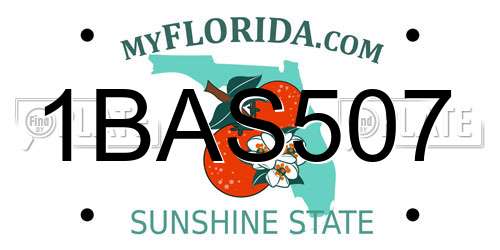 1BAS507 Florida License Plate