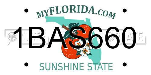 1BAS660 Florida License Plate