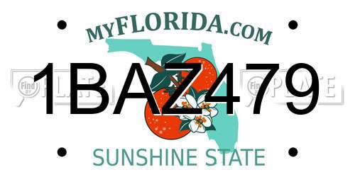 1BAZ479 Florida License Plate