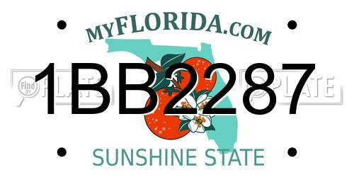 1BB2287 Florida License Plate