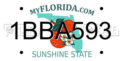 1BBA593 Florida License Plate