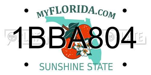 1BBA804 Florida License Plate