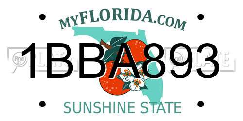 1BBA893 Florida License Plate