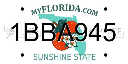 1BBA945 Florida License Plate