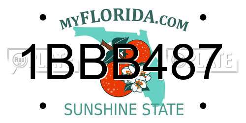 1BBB487 Florida License Plate