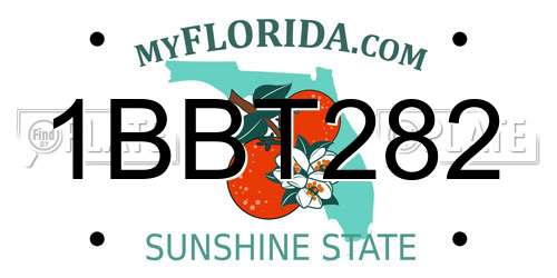 1BBT282 Florida License Plate
