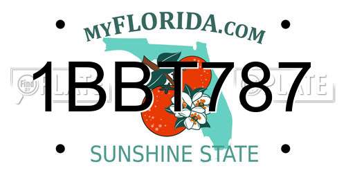 1BBT787 Florida License Plate