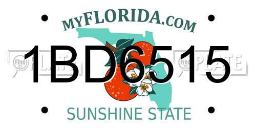 1BD6515 Florida License Plate