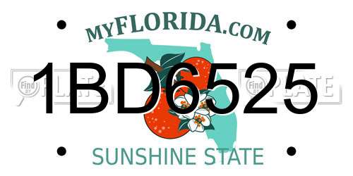 1BD6525 Florida License Plate