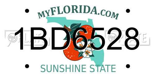 1BD6528 Florida License Plate