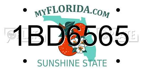 1BD6565 Florida License Plate
