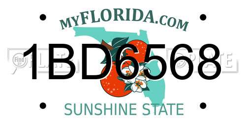 1BD6568 Florida License Plate
