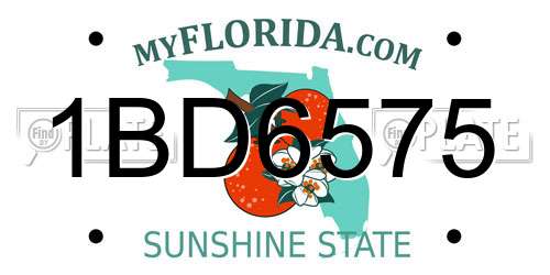 1BD6575 Florida License Plate