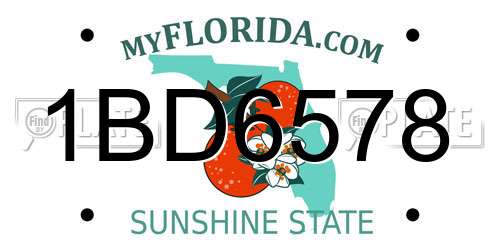 1BD6578 Florida License Plate