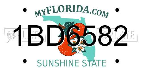 1BD6582 Florida License Plate