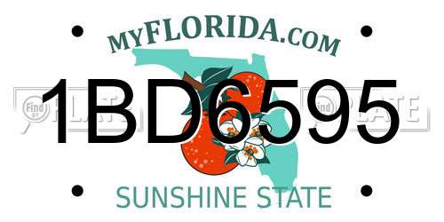 1BD6595 Florida License Plate