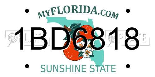 1BD6818 Florida License Plate