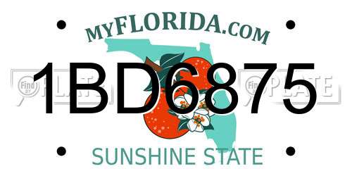 1BD6875 Florida License Plate