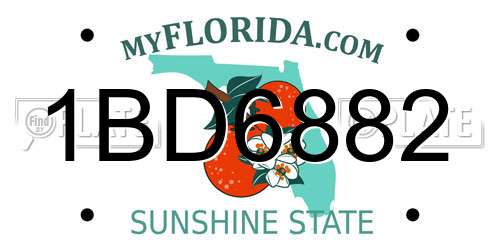 1BD6882 Florida License Plate