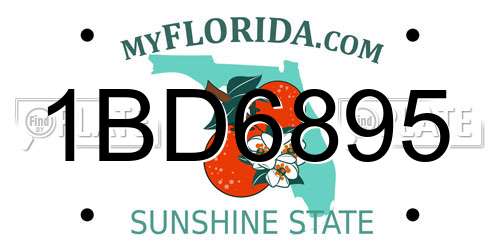 1BD6895 Florida License Plate